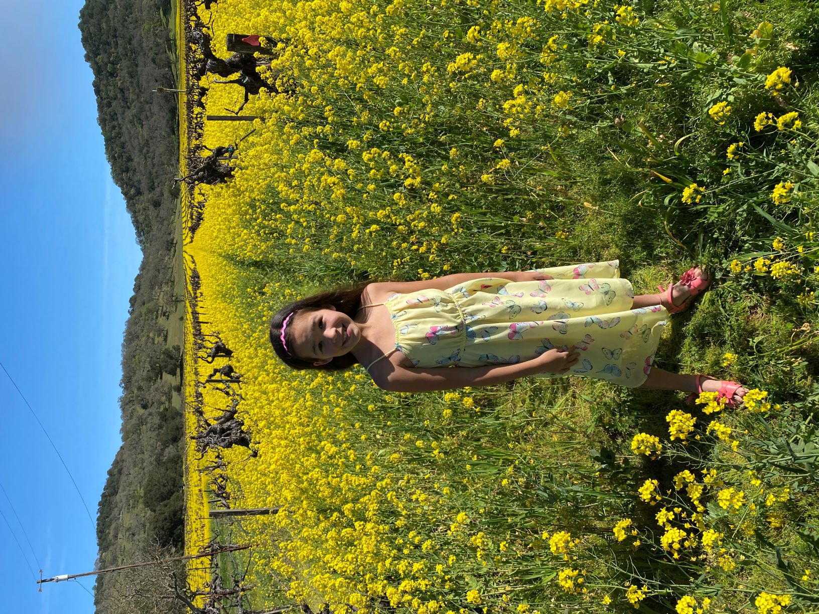 Mia in Mustard Field