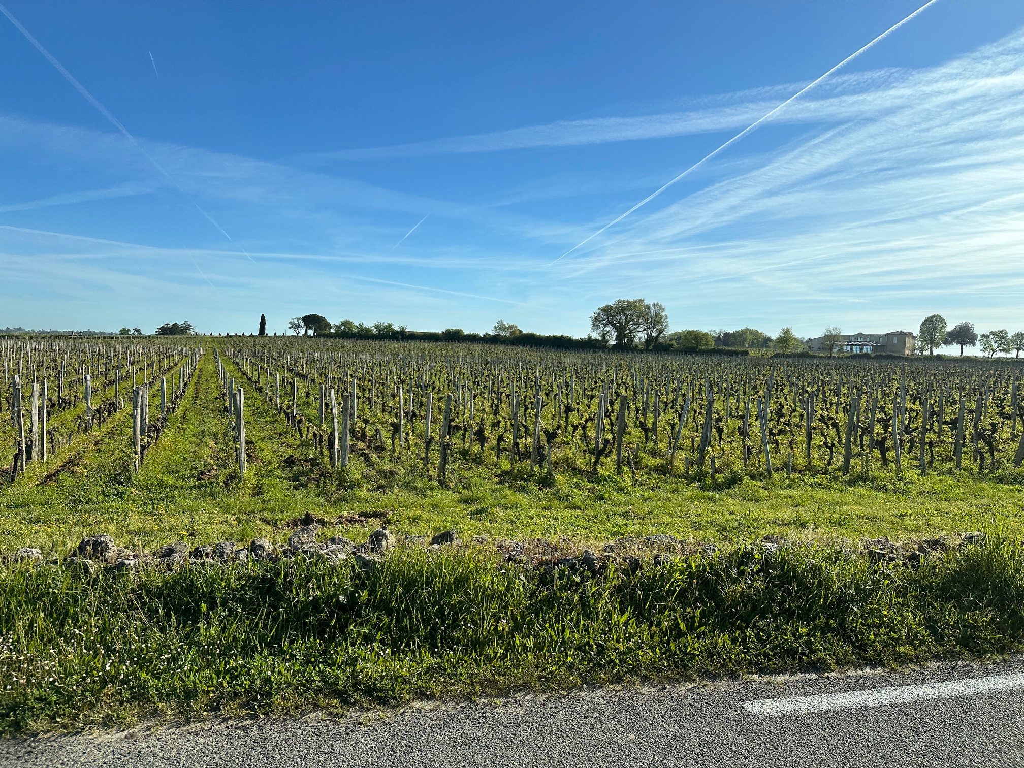 Saint Emilion