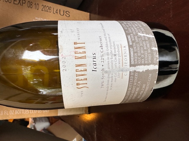 2002 Steven Kent Icarus