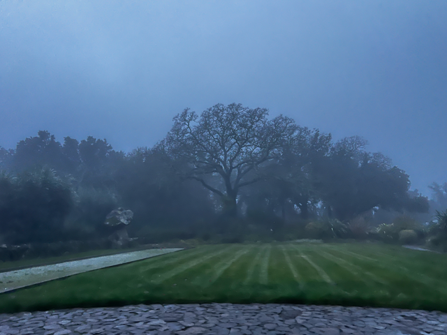 B. Wise Vineyards wines